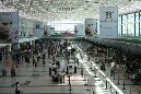 La caída en el turismo no se detiene debido a la crisis mundial